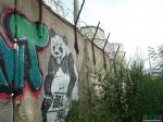 плотинское граффити